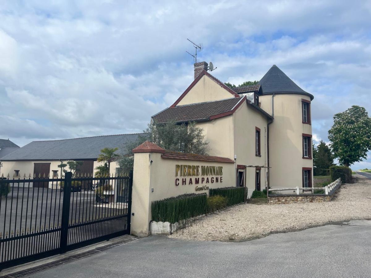 Domaine Pierre Monnaie Verzy Exterior foto