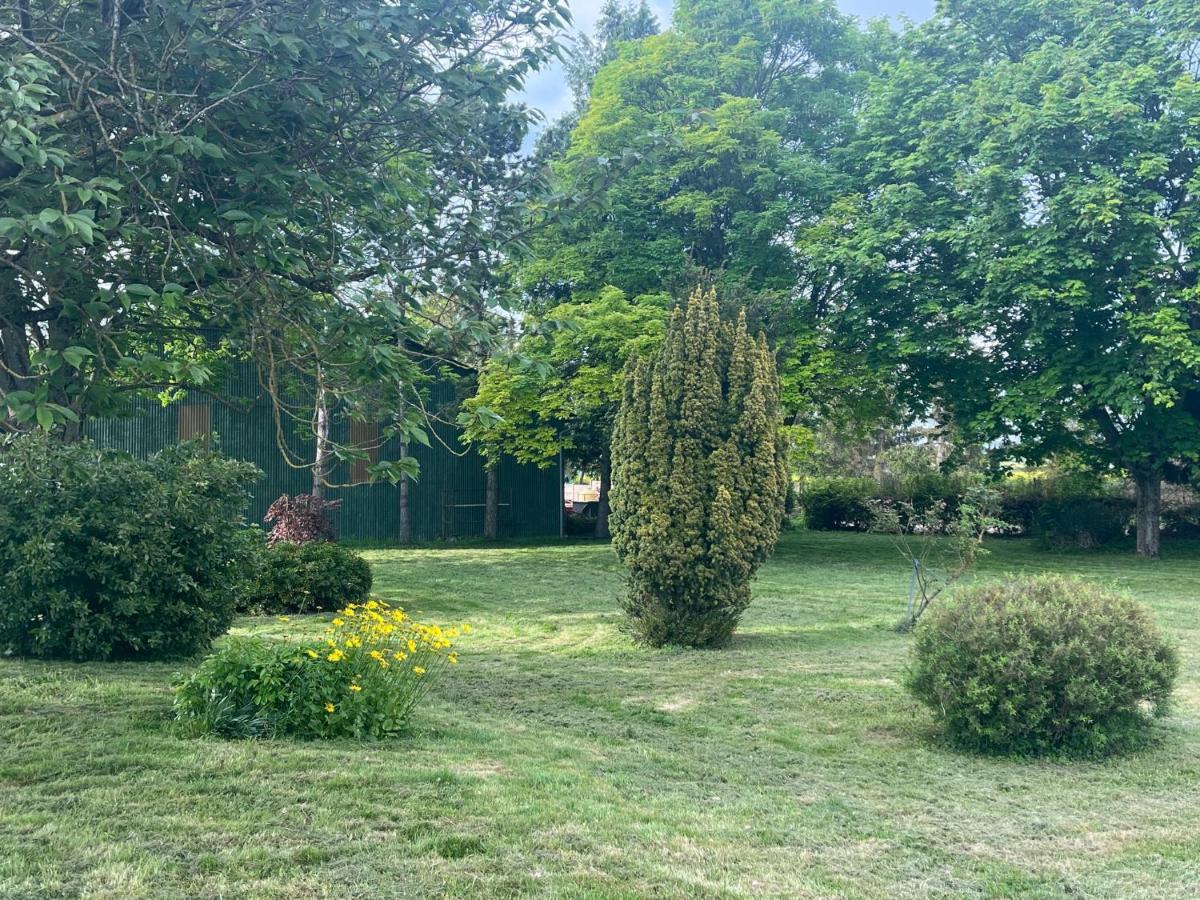 Domaine Pierre Monnaie Verzy Exterior foto